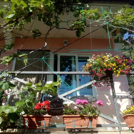 Apartment Adam Bibinje
