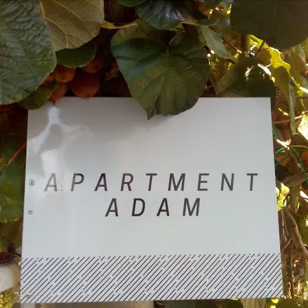 Adam Apartment